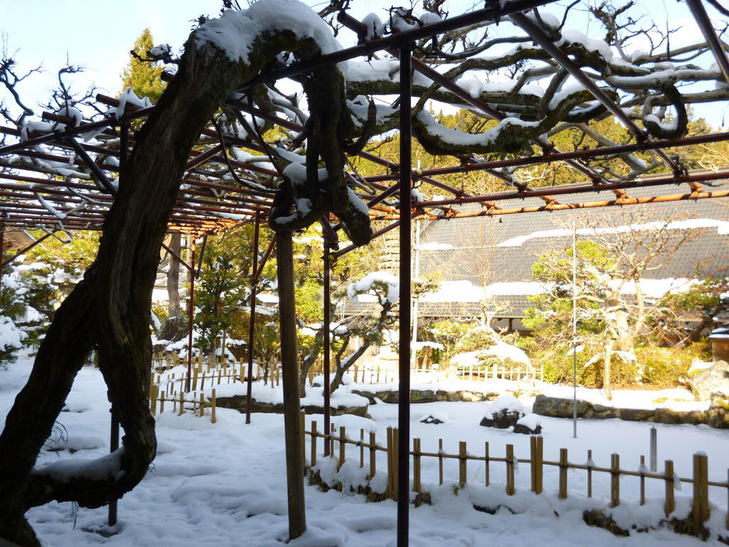 高野山 宿坊 熊谷寺 -Koyasan Shukubo Kumagaiji- Вакаяма Екстер'єр фото